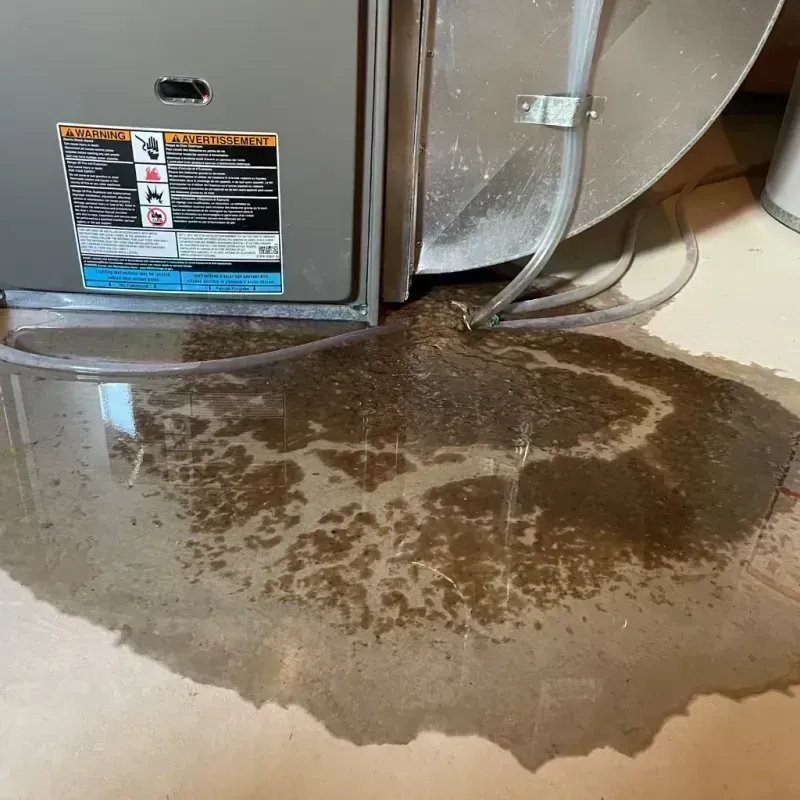 Appliance Leak Cleanup in Pilot Rock, OR